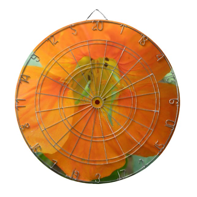 Pretty Orange Nasturtium Flower Dart Board (Front)