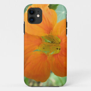 Pretty Orange Nasturtium Flower iPhone 5 Case
