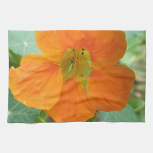 Pretty Orange Nasturtium Flower Kitchen Towel