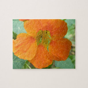 Pretty Orange Nasturtium Flower Puzzle