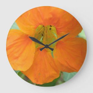 Pretty Orange Nasturtium Flower Wall Clock