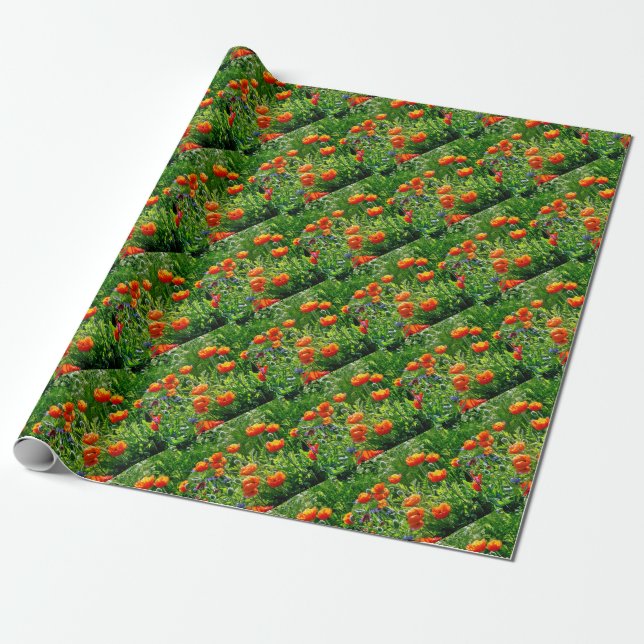 Pretty orange poppies wrapping paper (Unrolled)