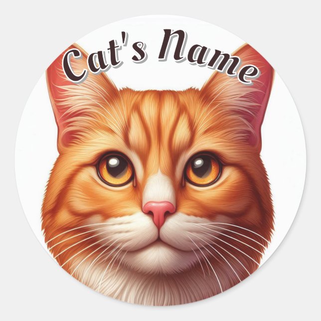 Pretty Orange Tabby Cat • Personalise Classic Round Sticker (Front)