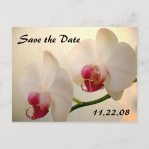 pretty Orchid Announcement Postcard