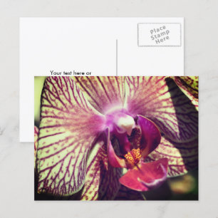 Pretty Orchid Flower Personalised Postcard