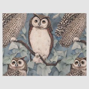 Pretty Owls Tissue Paper