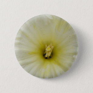 Pretty Pale Daffodil Button