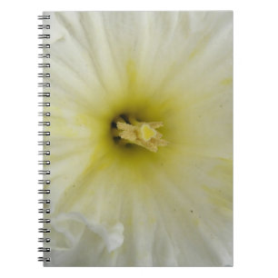 Pretty Pale Daffodil Notebook