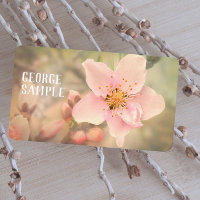 pretty pale pink dreamy flower photography
