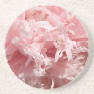 Pretty Pale Pink Poppy Coasters