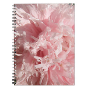 Pretty Pale Pink Poppy Notebook