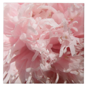Pretty Pale Pink Poppy Tile