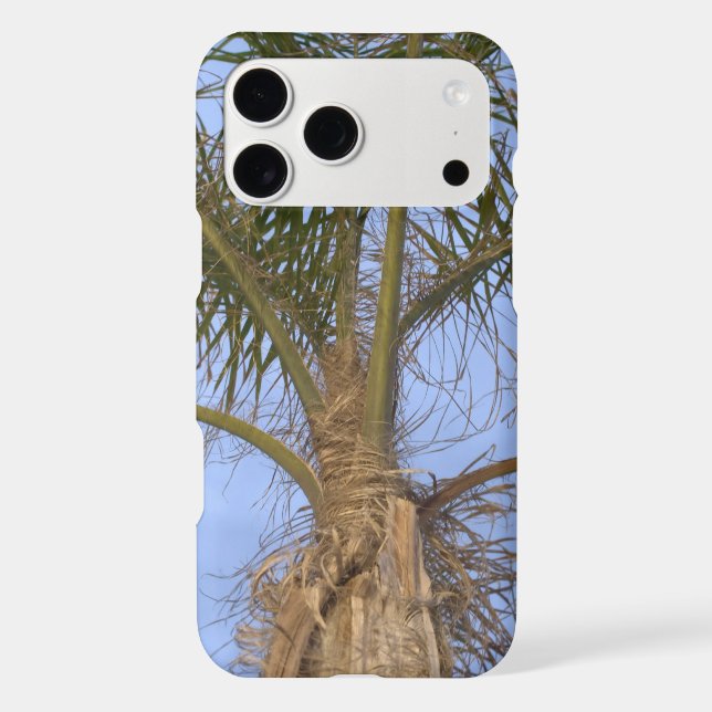 Pretty Palm Tree Close-up (Back)