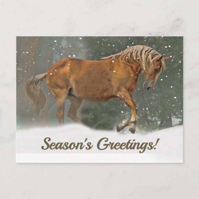 Pretty Palomino Draught Horse in the Snow Christma Holiday Postcard (Front)
