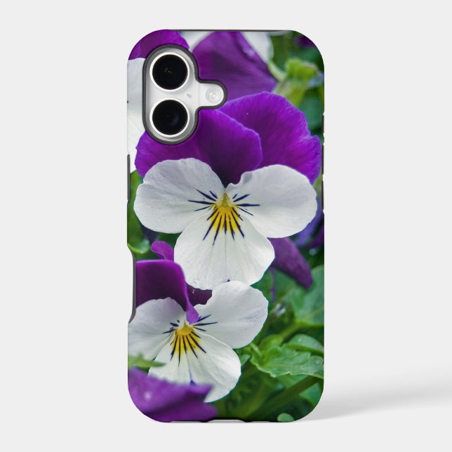 Pretty Pansies (Back)