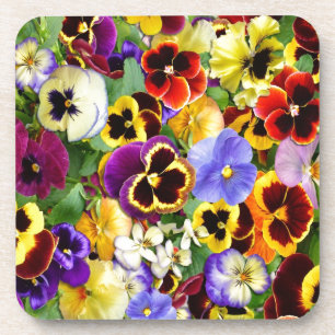 Pretty Pansies Coaster