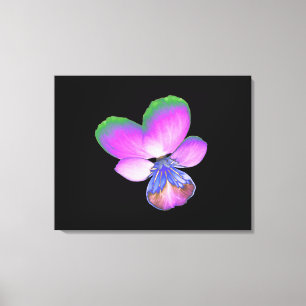 Pretty Pansy Canvas Print