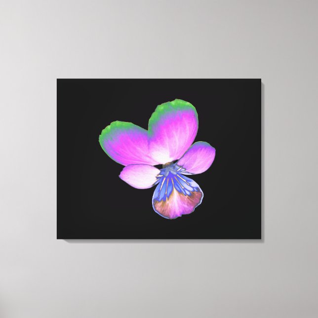 Pretty Pansy Canvas Print (Front)