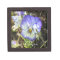"Pretty Pansy"