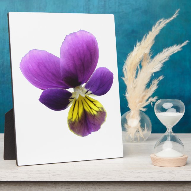 Pretty Pansy Plaque (Side)