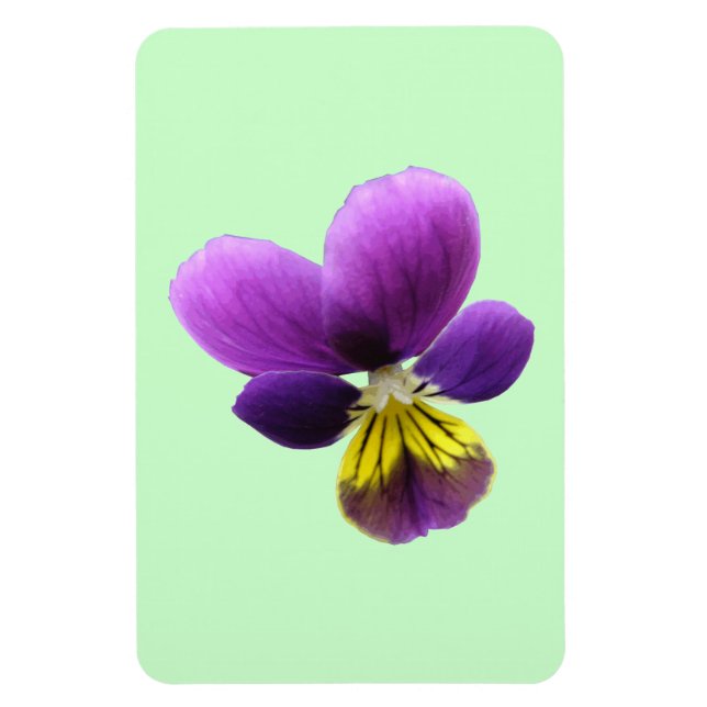 Pretty Pansy Premium Magnet (Vertical)