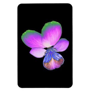Pretty Pansy Premium Magnet