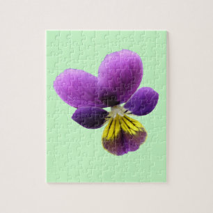 Pretty Pansy Puzzle