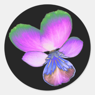 Pretty Pansy Sticker