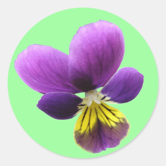 Pretty Pansy Sticker (Front)