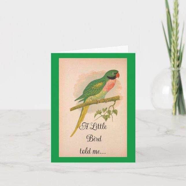 Pretty Parrot Birthday Card  (Front)