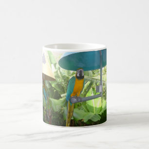 Pretty Parrot Coffee Mug