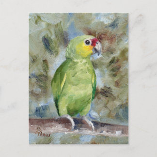 Pretty Parrot Postcard