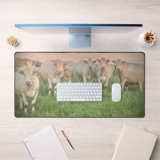 Pretty Pastel Charolais Cattle in Pasture Desk Mat