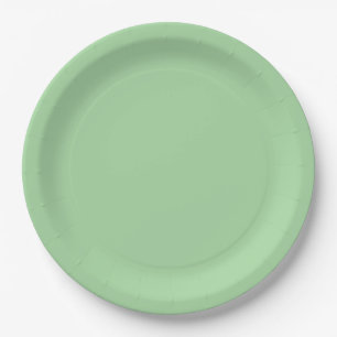 Pretty pastel green paper plate