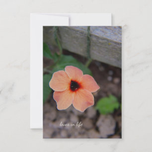 Pretty Peach Garden Flower Card