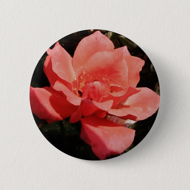 Pretty Peach Pink Rose floral 6 Cm Round Badge (Front)