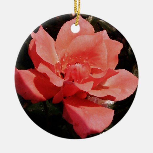 Pretty Peach Pink Rose floral Ceramic Tree Decoration (Front)