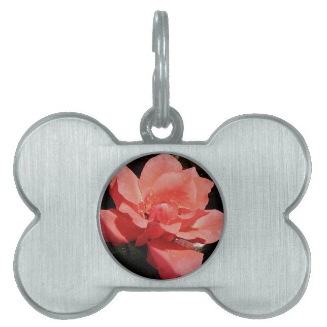 Pretty Peach Pink Rose floral Pet Tag (Front)
