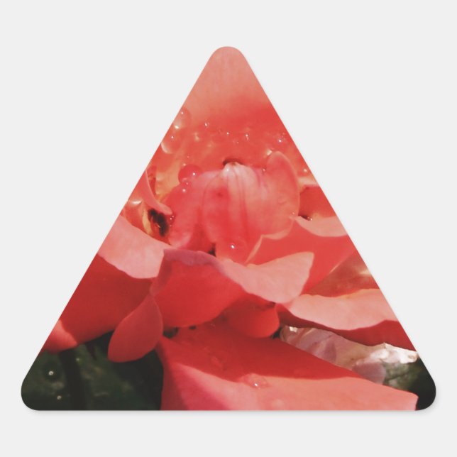 Pretty Peach Pink Rose floral Triangle Sticker (Front)