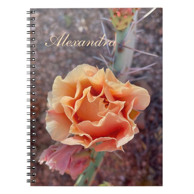 Pretty Peach Prickly Pear Flower Notebook (Front)