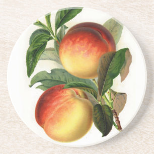 Pretty Peaches Coaster