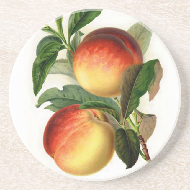 Pretty Peaches Coaster (Front)