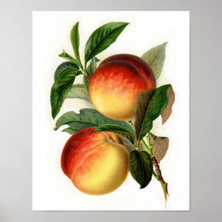Pretty Peaches Poster
