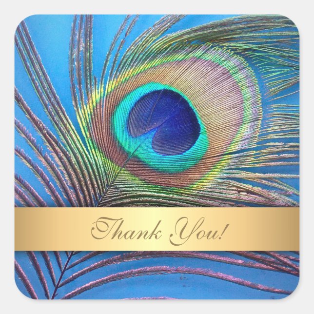 Pretty Peacock Feather Thank You Square Sticker (Front)
