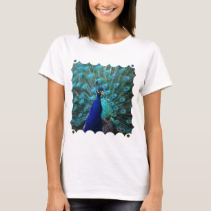 Pretty Peacock Ladies Fitted T-Shirt