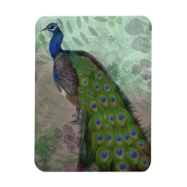 Pretty Peacock  Magnet (Vertical)