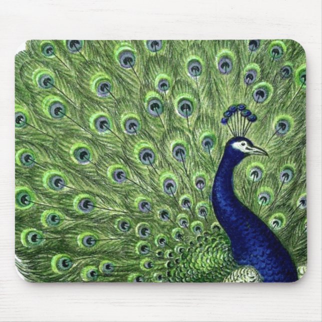 Pretty Peacock Mouse Mat (Front)