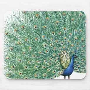 Pretty Peacock Mouse Mat