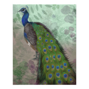 Pretty Peacock  Photo Print