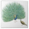 Pretty Peacock